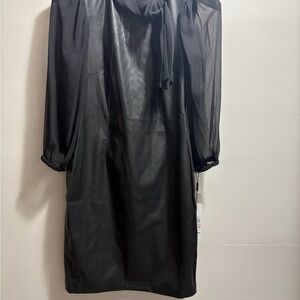 Calvin Klein Sheer Black Long Sleeve Dress